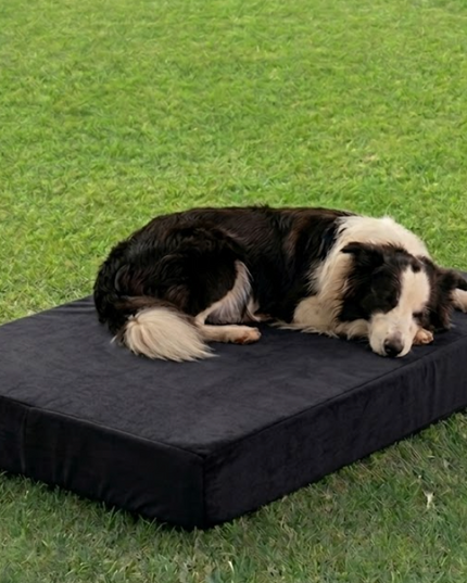 Cama ortopédica Jager