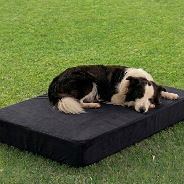 Cama ortopédica Jager