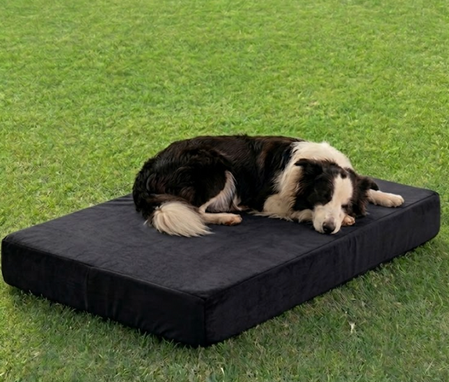 Cama ortopédica Jager