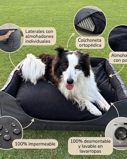 Cama ortopédica Fico
