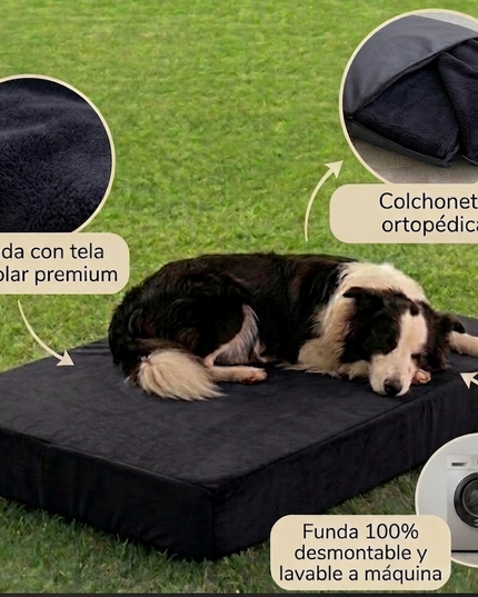 Cama ortopédica Jager