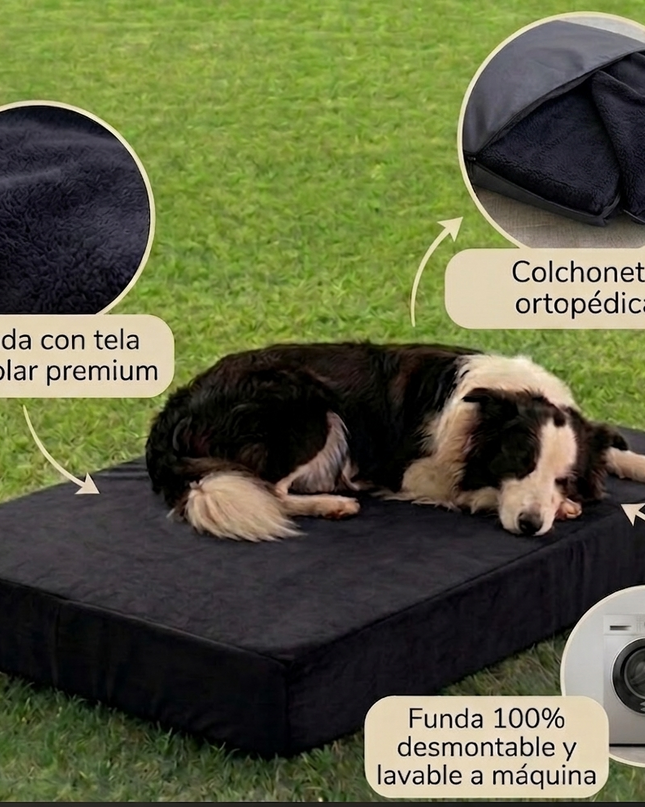 Cama ortopédica Jager